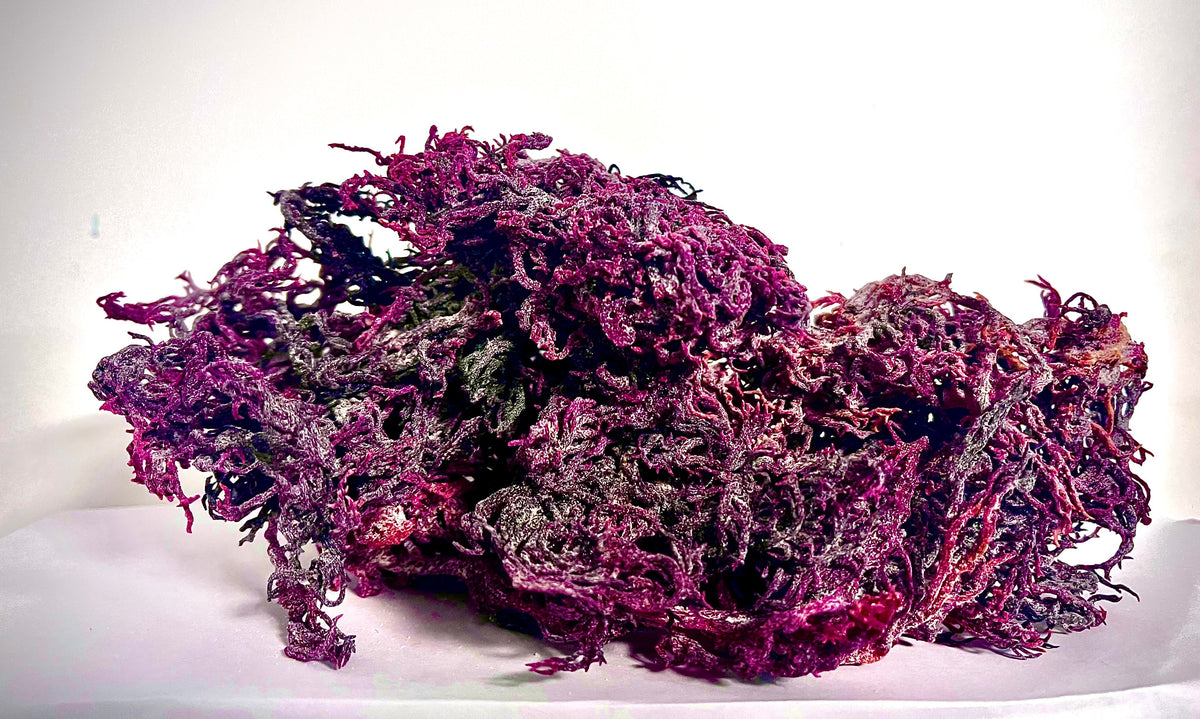 Pure Certified Wild Harvested Organic Purple Raw Sea Moss