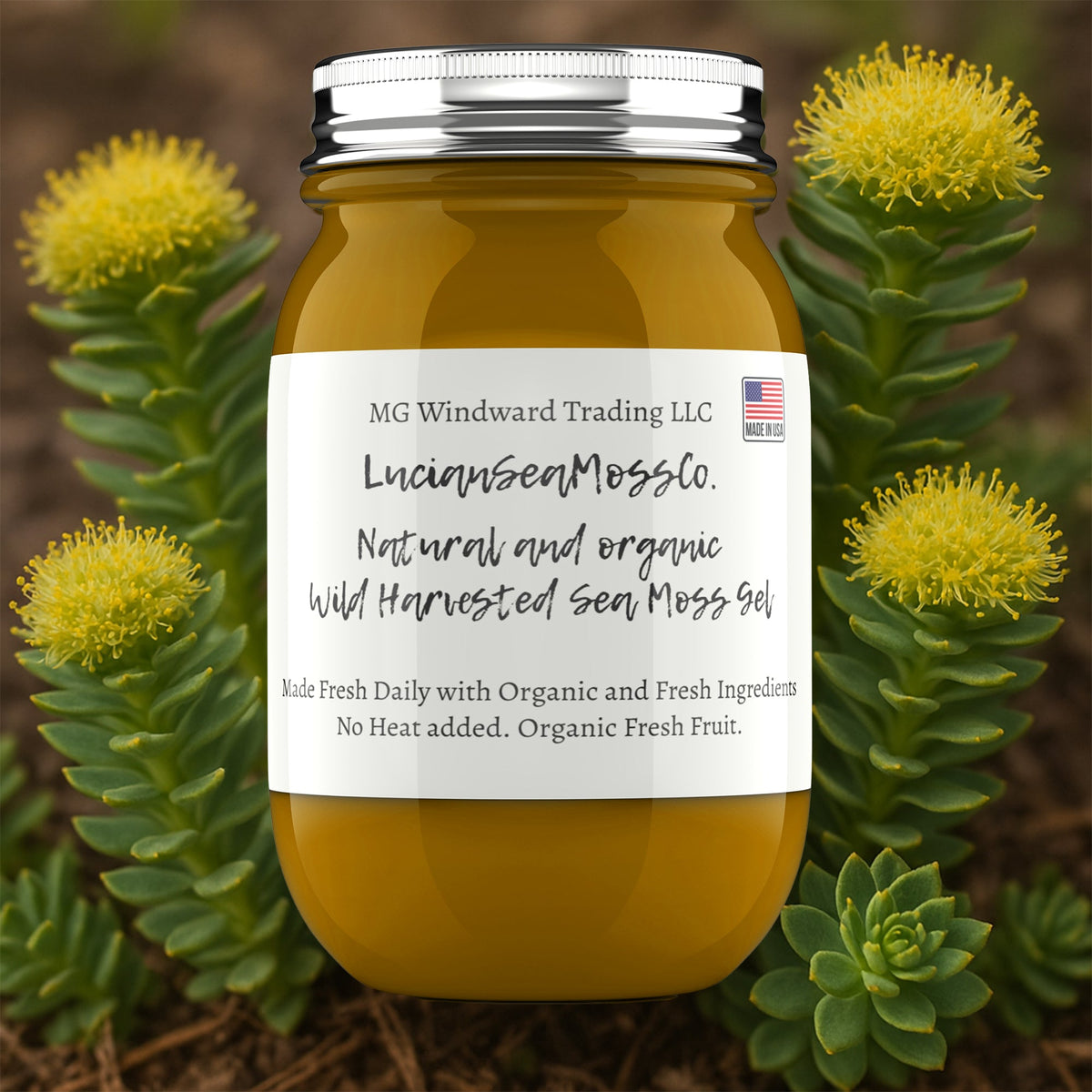 Rhodiola Infused Organic Sea Moss Gel