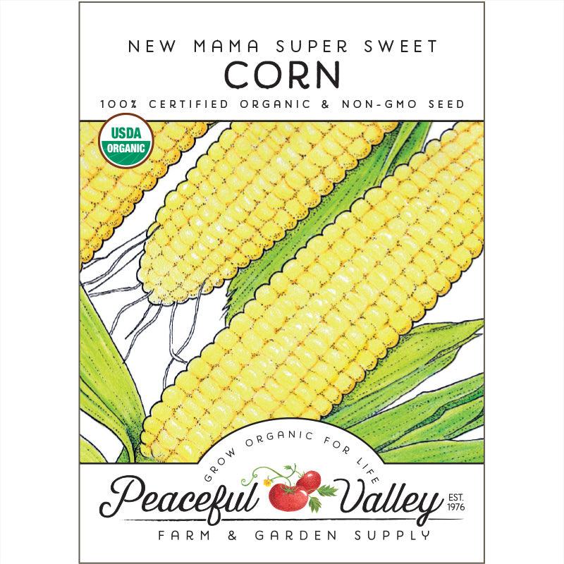 Sweet New Mama Corn Seeds (Organic)
