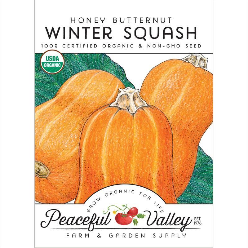 Honey Butternut Winter Squash Seeds (Organic)