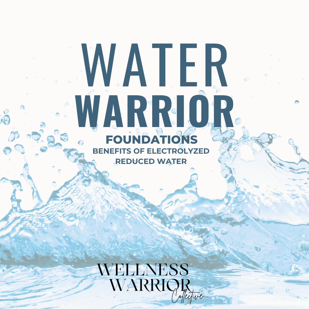Water Warriors Foundations | Free Water & Hydration Course