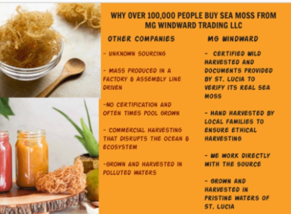 Pure Certified Wild Harvested Full Spectrum Organic Raw Sea Moss