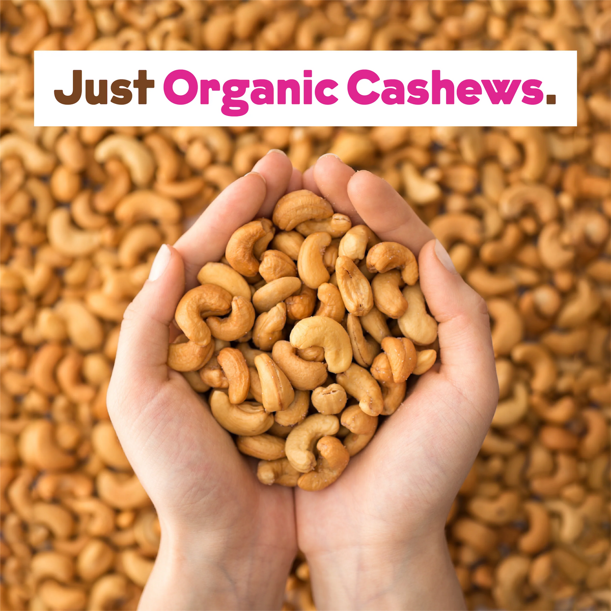 Organic Cashew Milk Base - Bulk