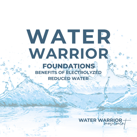 Water Warrior Foundations | Water eBook & Hydration Course