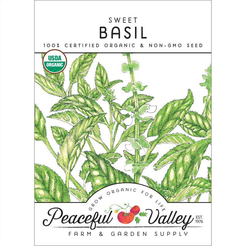 Sweet Basil Seeds (Organic)