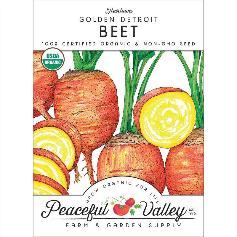 Golden Detroit Beet Seeds (Organic)