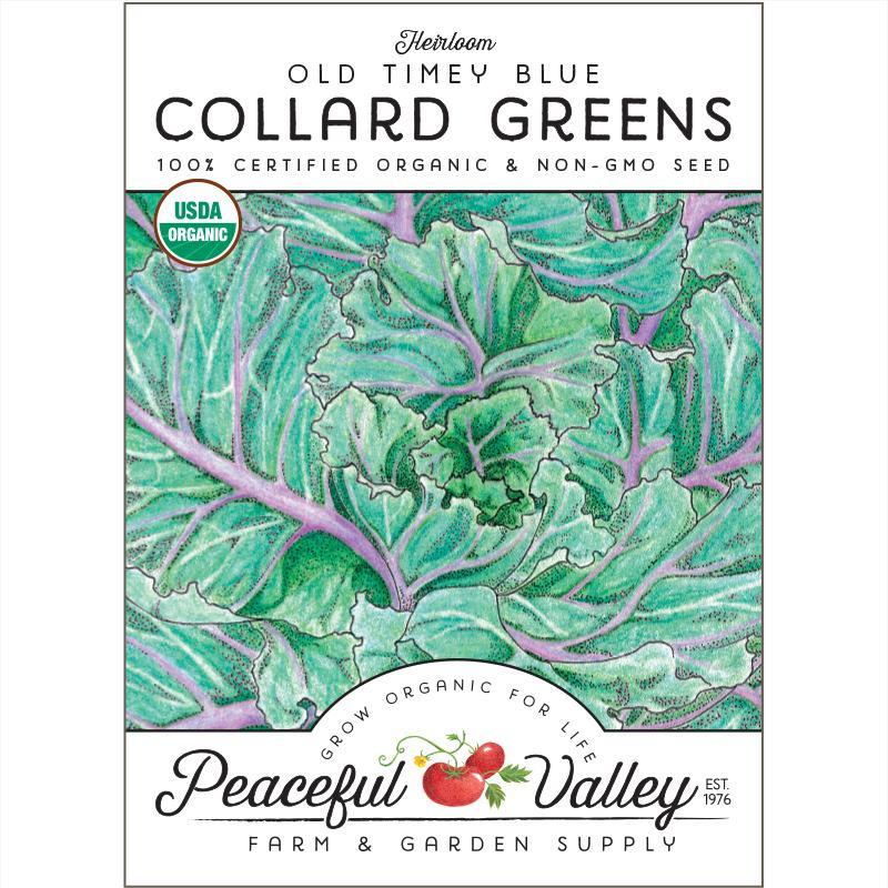 Collard Old Timey Blue Greens Seeds (Organic)