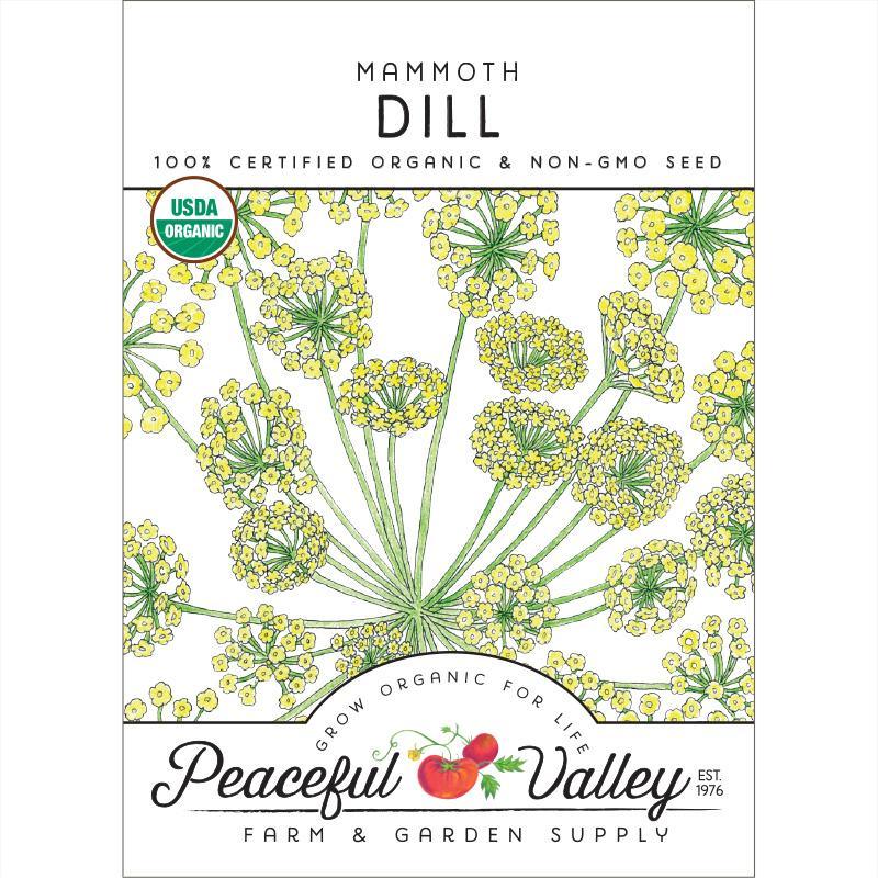 Mammoth Dill Seeds (Organic)