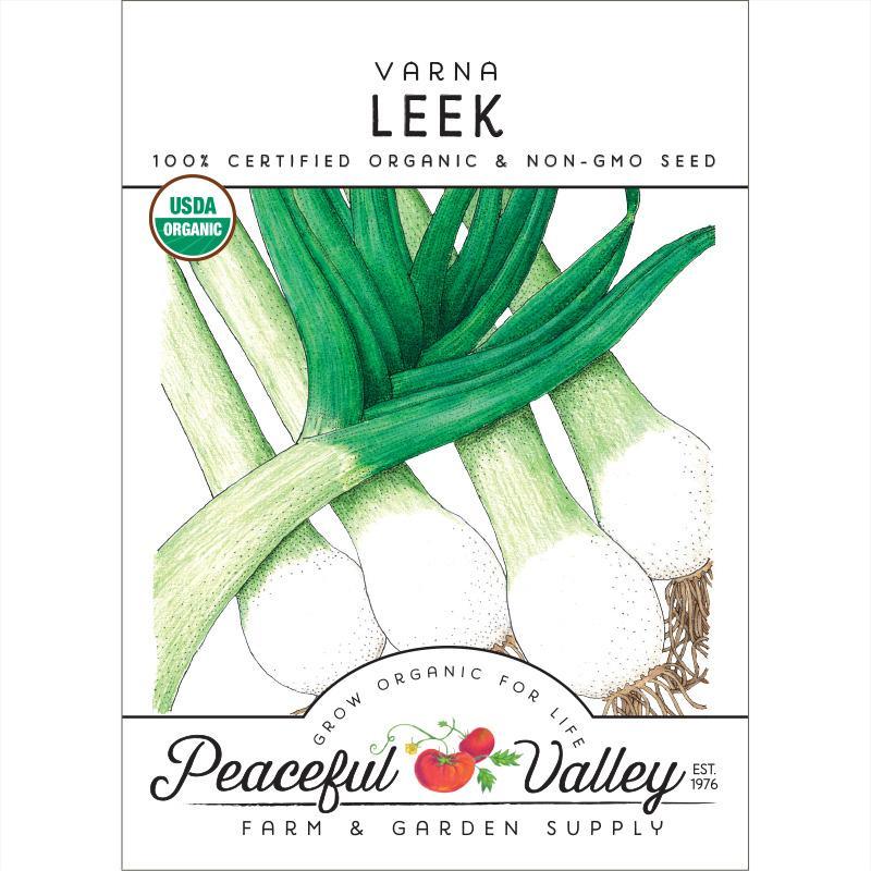 Varna Leek Seeds (Organic)
