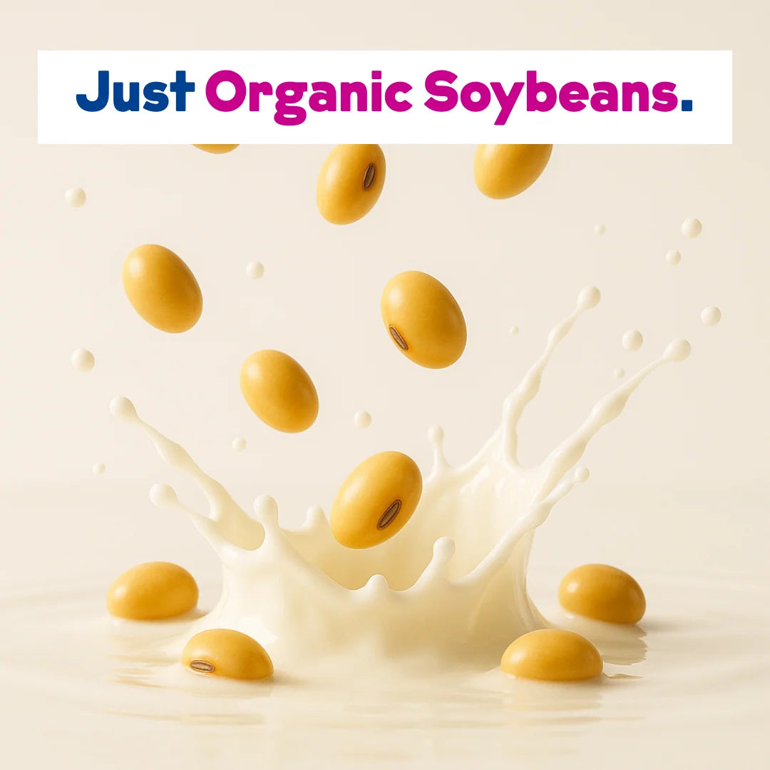 Organic Soy Milk Powder 2-Pack